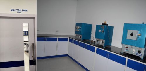 頭等大事 外貿煤炭產品線技術支撐體系建設取得新成效，強化技術交流促發展