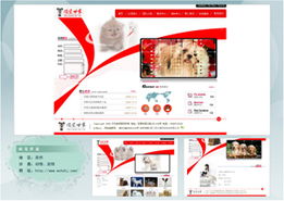 廈門易爾通網(wǎng)絡(luò)科技 區(qū)域營銷服務(wù)中心與網(wǎng)絡(luò)信息技術(shù)推廣服務(wù)